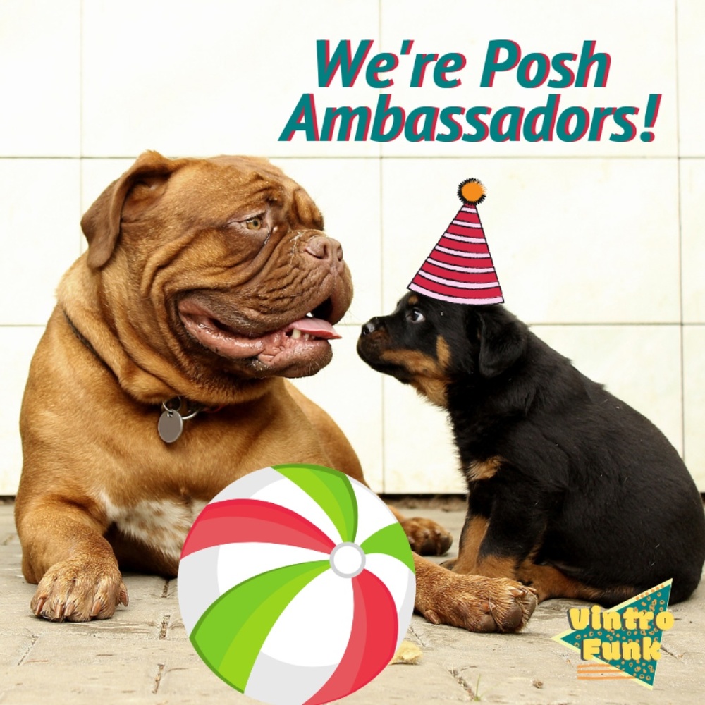 Posh Ambassador in TWO weeks! We ❤️️ Poshmark